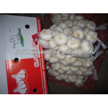 china fresh pure white garlic,1kg packing